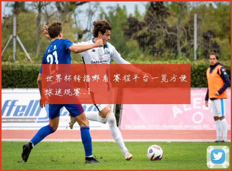 世界杯转播哪看 赛程平台一览方便球迷观赛_1